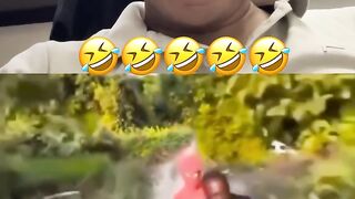 Funny videos 908