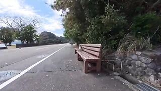 For some reason, there was a cat sitting on a bench by the road, so I stopped my motorcycle and petted it.