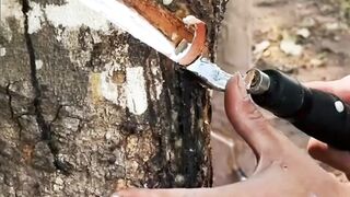 Rubber sap leather cutting tool