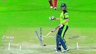 TOP best clean bowled wickets