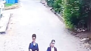 Funny videos 921