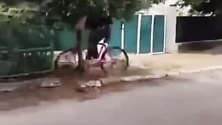 Funny videos 922