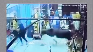 Funny videos 923