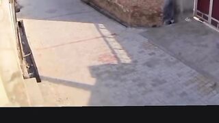 Funny videos 924