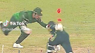 Best stump out