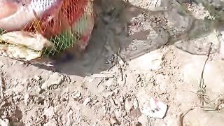 Hasil mancing umpan pelet