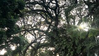 Semangat beraktifitas yaa !