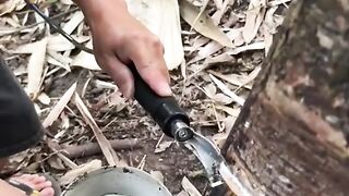 Electric rubber sap cutter