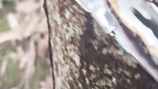 Electric machine for rubber tapping
