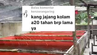 Berapa lama KEKUATAN terpal A20 Korea❓