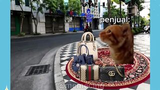 sertifikat bukan sembarang sertifikat????