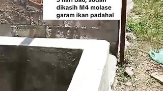 Kolam terpal BARU gak perlu cacahan POHON PISANG segala