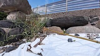 A cat was sleeping on the breakwater... It was so cute when it noticed people and came down to get petted.