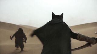 CAT MAN VS ASSASIN
