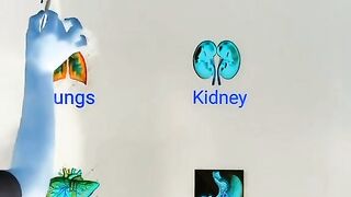 Types of doctor