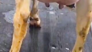 Way to join illuminati agent in uganda+256776963507/0741506136