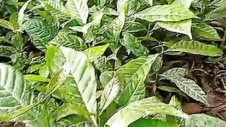 Way how to join illuminati agent in uganda+256776963507/0741506136