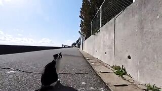 Sitting on the breakwater of Cat Island...a calico cat followed me and sat next to me—a miraculous moment.