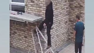 Funny videos 941