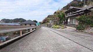 As I was walking along a mountain path on Cat Island, cats came running towards me from the other direction.