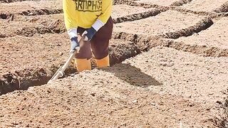 Agriculture 9