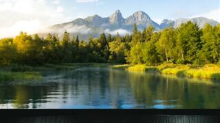 Nature in the Cinema