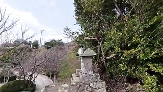 I encountered some lively kittens at a small shrine on top of a hill.