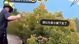 Funny videos 949