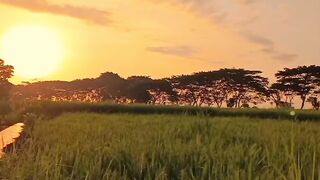 Pemandangan alam 19