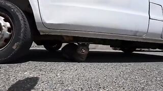 I'm releasing a compilation of previously unreleased cat videos I filmed this week. 9
