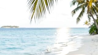 Tropical Escape: A Peaceful Walk Along the Pristine Shores of Paradise