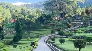 Yuk main2 kesini cari yg ijo2