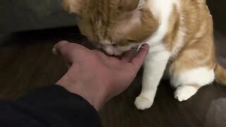 They’re eating me