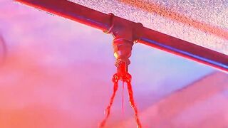 Why Wednesday Loves the Blood Rain : The Physics of Fluid Dynamics