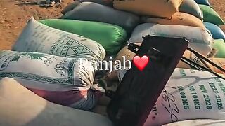 Punjabi 36