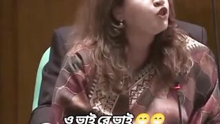 রাজনৈতিক সমালোচনা