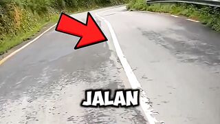 Garis Putih di Jalan Itu Awalnya Gara-Gara Susu⁉️???? 2