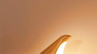 The Viral Nordic Bird Lamp You Need! 360° Rotation Golden LED Magic