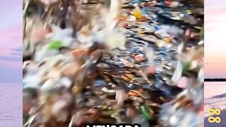 Mengapa Botol Plastik yang Dikompresi Bisa Meledak? versi bola88
