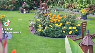 Beautiful Plants and Flowers