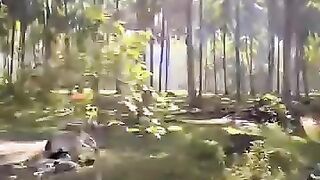 pantai Tanjung setia pesisir barat Lampung