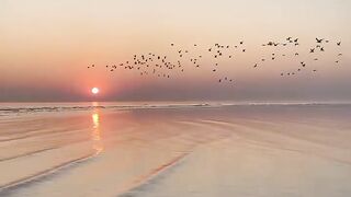 Sunset dipantai