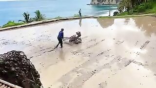 Pantai bernuansa pedesaan
