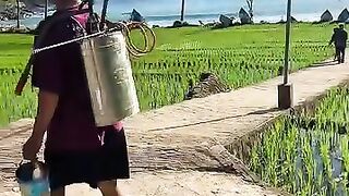 Masih belum bisa move on dari hari ke 4 kemarin di @pantaikuyon.trenggalek