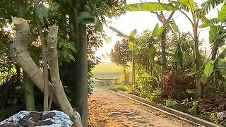 Rona pagi dibalik jendela alam