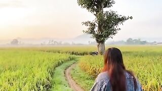 Berjalan dipinggir sawah