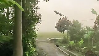 Kabut dipagi hari