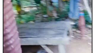 masih seputar kicaw mania