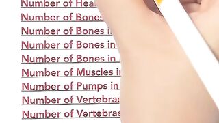 Human body facts 3