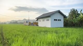 Hijaunya sawah